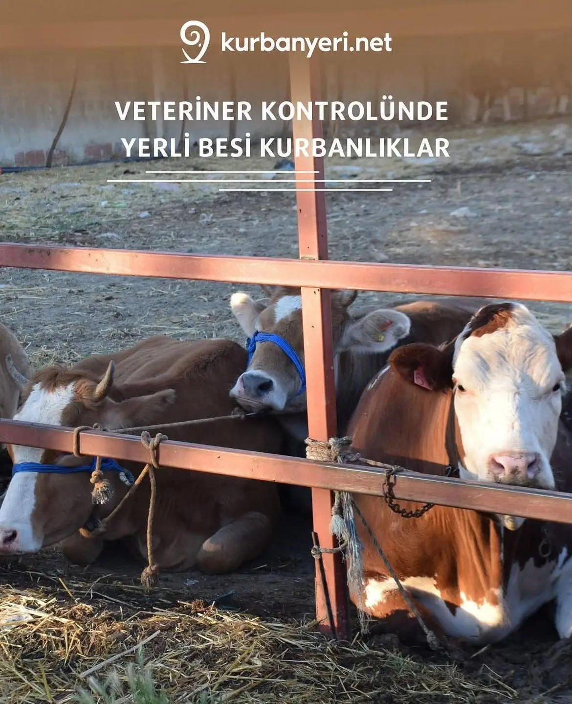 Çiftlik ve Tesis Görünümü